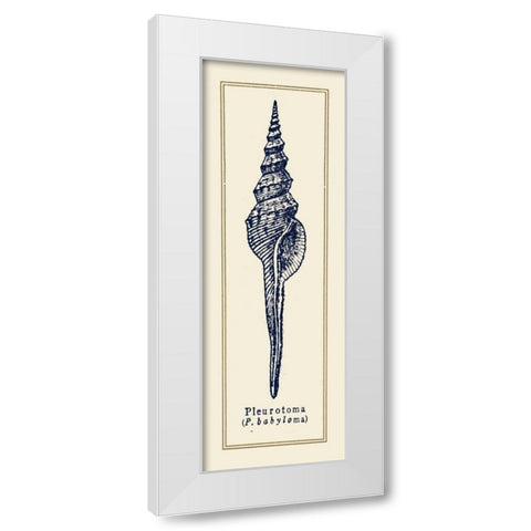 Pleurotoma Shell II White Modern Wood Framed Art Print by Gorham, Gregory