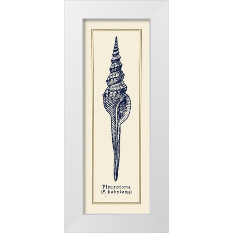 Pleurotoma Shell II White Modern Wood Framed Art Print by Gorham, Gregory