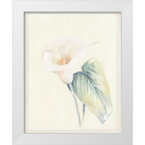 Calla Lily II White Modern Wood Framed Art Print by Hargittai, Paul