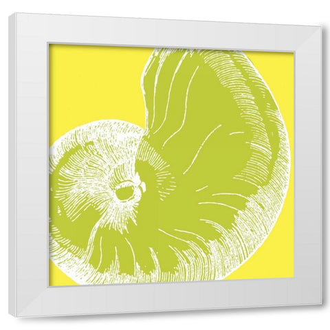 Graphic Shell II White Modern Wood Framed Art Print by Harbick, N