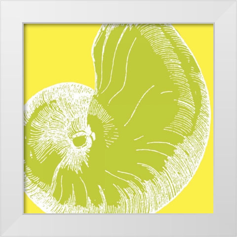 Graphic Shell II White Modern Wood Framed Art Print by Harbick, N