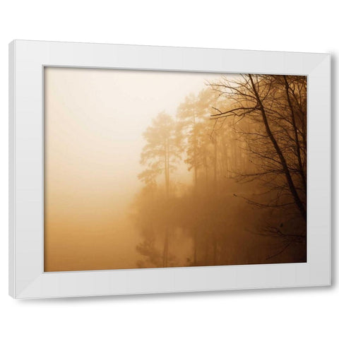 Fog on Shelly Lake I White Modern Wood Framed Art Print by Hausenflock, Alan