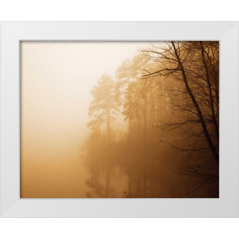 Fog on Shelly Lake I White Modern Wood Framed Art Print by Hausenflock, Alan
