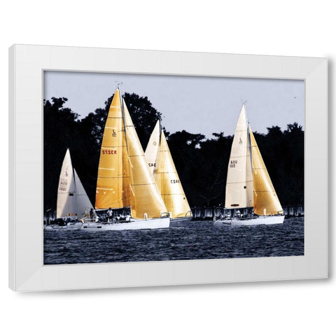Race at Annapolis II White Modern Wood Framed Art Print by Hausenflock, Alan