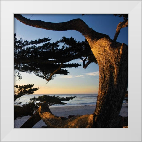 Carmel Sunset II White Modern Wood Framed Art Print by Hausenflock, Alan