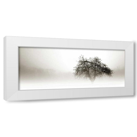 In the Mist I White Modern Wood Framed Art Print by Hausenflock, Alan