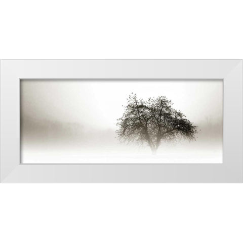 In the Mist I White Modern Wood Framed Art Print by Hausenflock, Alan