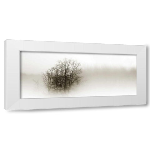 In the Mist II White Modern Wood Framed Art Print by Hausenflock, Alan