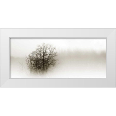 In the Mist II White Modern Wood Framed Art Print by Hausenflock, Alan