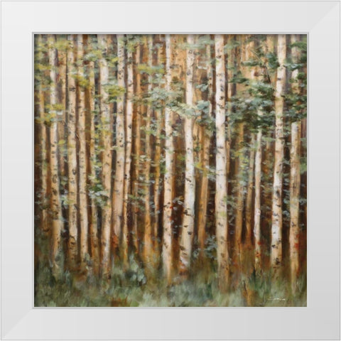 Aspen Beauty I White Modern Wood Framed Art Print by Lee, Scott