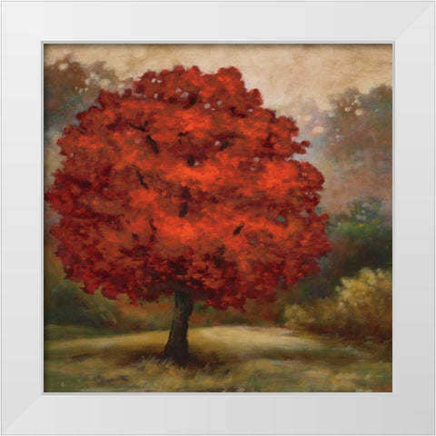 Tree Cast I White Modern Wood Framed Art Print by Lee, Scott