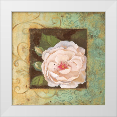 Antique Rose IV White Modern Wood Framed Art Print by Jeffrey, Jillian