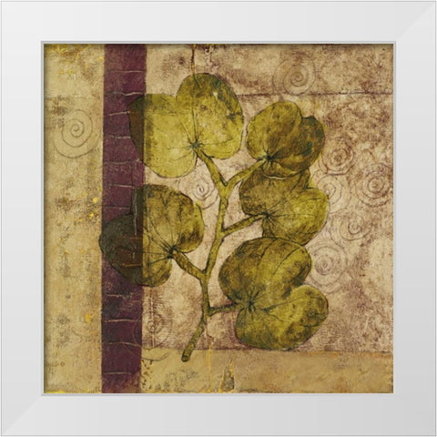 Nature Study IV White Modern Wood Framed Art Print by Kime, John