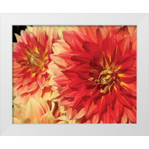 Hot Sun White Modern Wood Framed Art Print by Love, Maureen