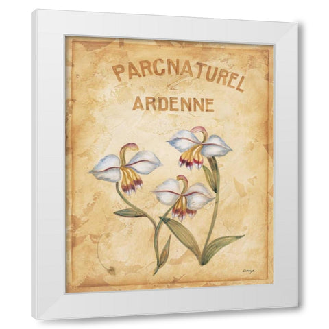 Parcnaturel II White Modern Wood Framed Art Print by Linza, Loretta