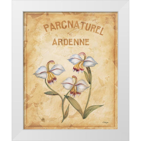 Parcnaturel II White Modern Wood Framed Art Print by Linza, Loretta