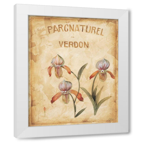 Parcnaturel IV White Modern Wood Framed Art Print by Linza, Loretta