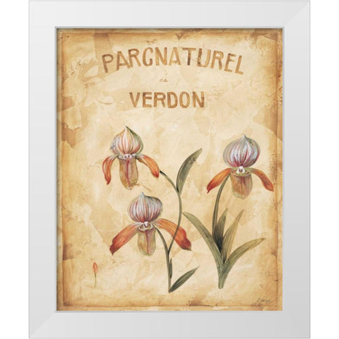Parcnaturel IV White Modern Wood Framed Art Print by Linza, Loretta