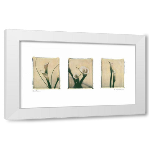 Lilies White Modern Wood Framed Art Print by Melious, Amy