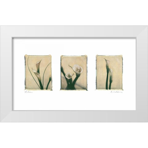 Lilies White Modern Wood Framed Art Print by Melious, Amy