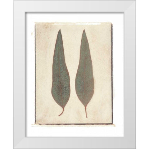 Two Leaves White Modern Wood Framed Art Print by Melious, Amy