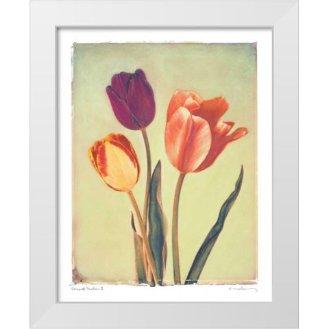 Concerto Verde I White Modern Wood Framed Art Print by Melious, Amy