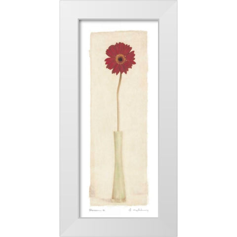 Blossom II White Modern Wood Framed Art Print by Melious, Amy