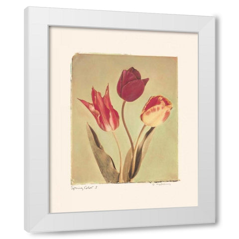 Spring Color I White Modern Wood Framed Art Print by Melious, Amy