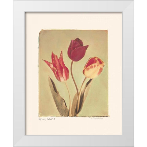 Spring Color I White Modern Wood Framed Art Print by Melious, Amy