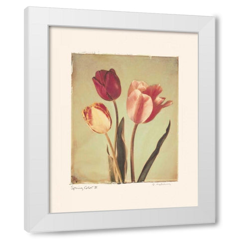 Spring Color II White Modern Wood Framed Art Print by Melious, Amy