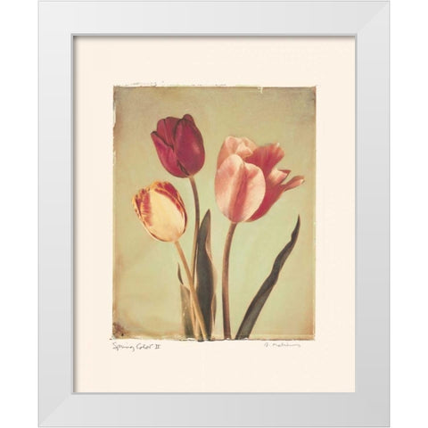Spring Color II White Modern Wood Framed Art Print by Melious, Amy