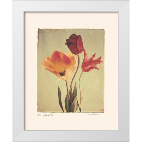 Spring Color III White Modern Wood Framed Art Print by Melious, Amy