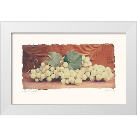 Grape Harvest II White Modern Wood Framed Art Print by Melious, Amy