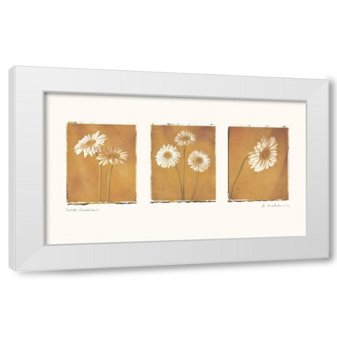 White Gerbers White Modern Wood Framed Art Print by Melious, Amy