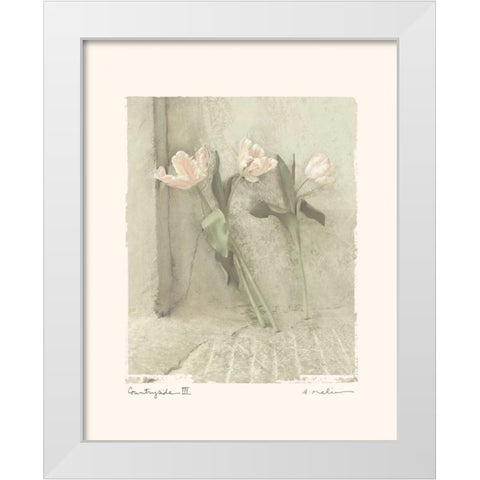 Countryside III White Modern Wood Framed Art Print by Melious, Amy