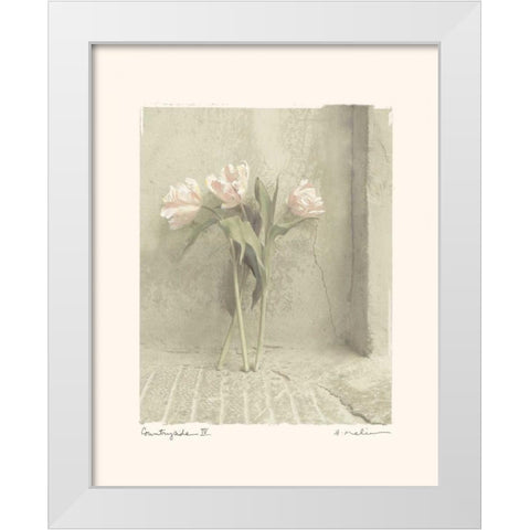 Countryside IV White Modern Wood Framed Art Print by Melious, Amy