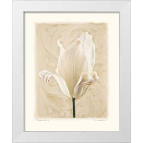 Chiaroscuro I White Modern Wood Framed Art Print by Melious, Amy