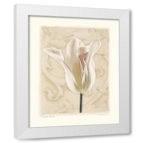 Chiaroscuro II White Modern Wood Framed Art Print by Melious, Amy