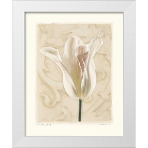 Chiaroscuro II White Modern Wood Framed Art Print by Melious, Amy