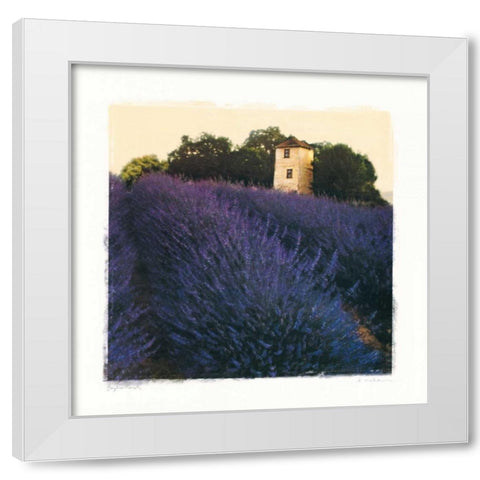 Bayliss Ranch White Modern Wood Framed Art Print by Melious, Amy