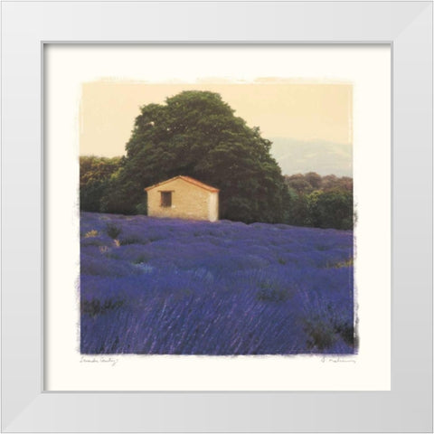 Lavender Country White Modern Wood Framed Art Print by Melious, Amy