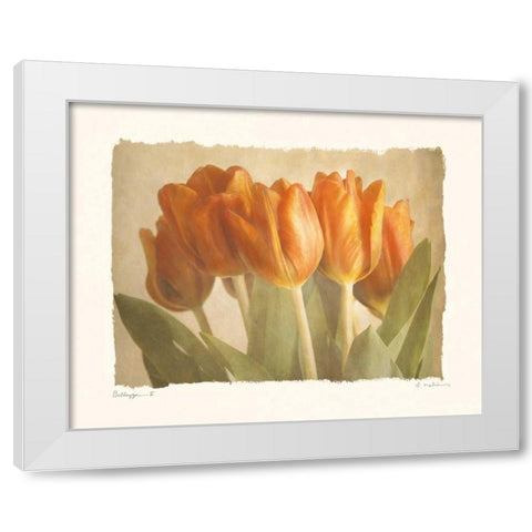 Bellezza II White Modern Wood Framed Art Print by Melious, Amy