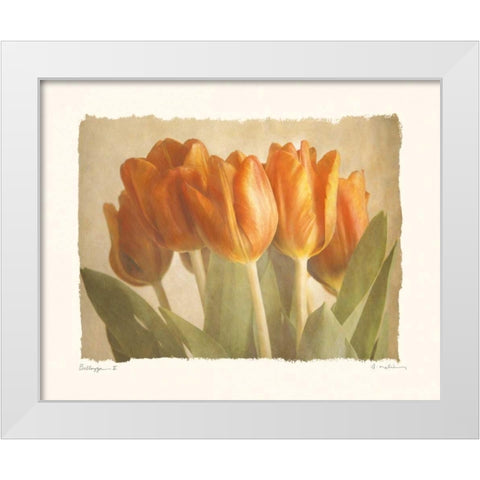 Bellezza II White Modern Wood Framed Art Print by Melious, Amy
