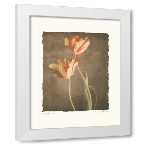 Allegria II White Modern Wood Framed Art Print by Melious, Amy