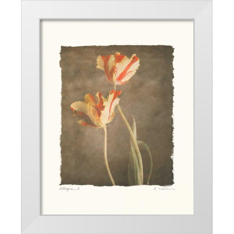 Allegria II White Modern Wood Framed Art Print by Melious, Amy