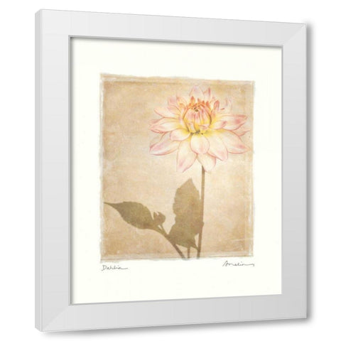 Dahlia White Modern Wood Framed Art Print by Melious, Amy