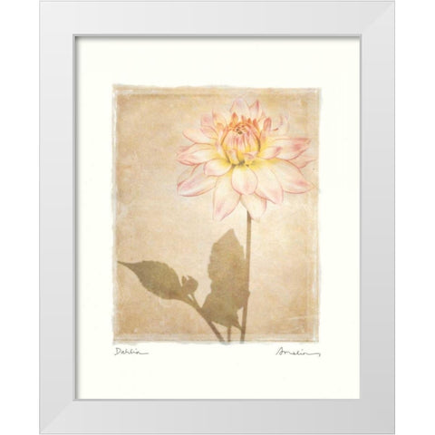 Dahlia White Modern Wood Framed Art Print by Melious, Amy