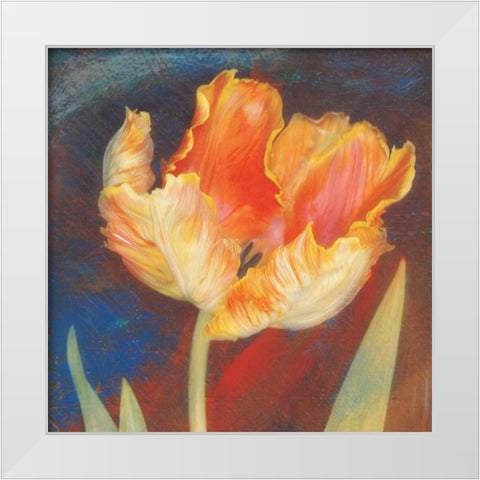 Dusk Tulip I White Modern Wood Framed Art Print by Melious, Amy