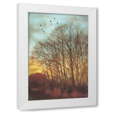 Winter Light II White Modern Wood Framed Art Print by Melious, Amy
