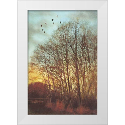 Winter Light II White Modern Wood Framed Art Print by Melious, Amy